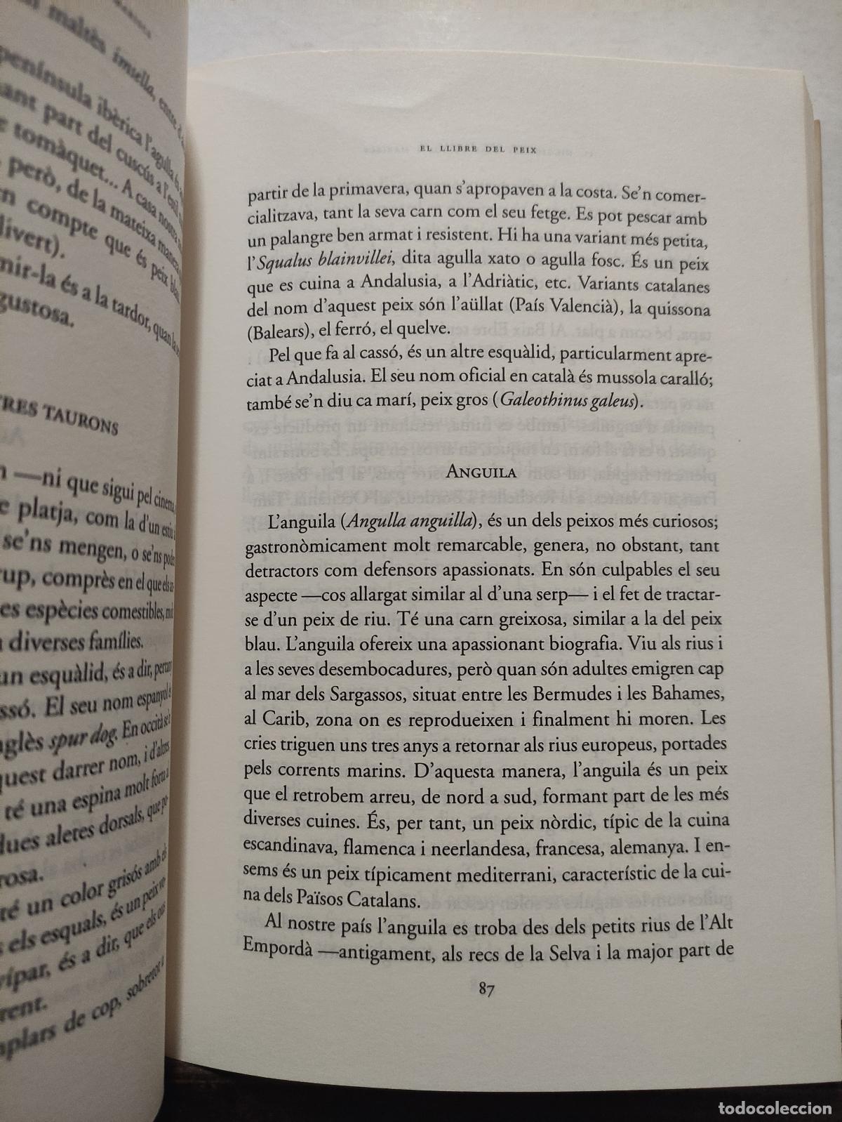 Libros: EL LLIBRE DEL PEIX - JAUME FABREGA - Foto 3