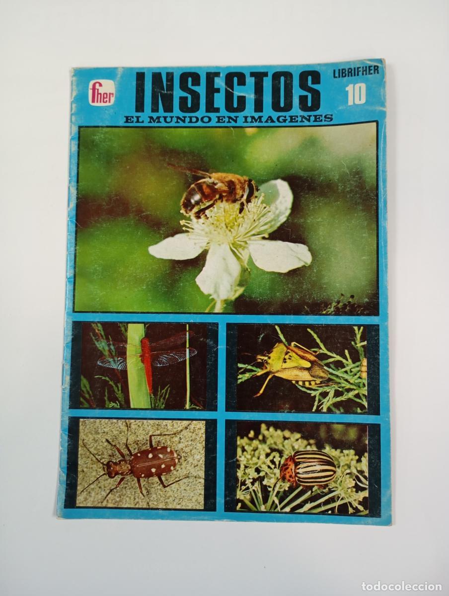 Libri di seconda mano: Insectos. El mundo en im&aacute;genes. Librifher 10. - Joseba Elorza Petralanda. TDK926