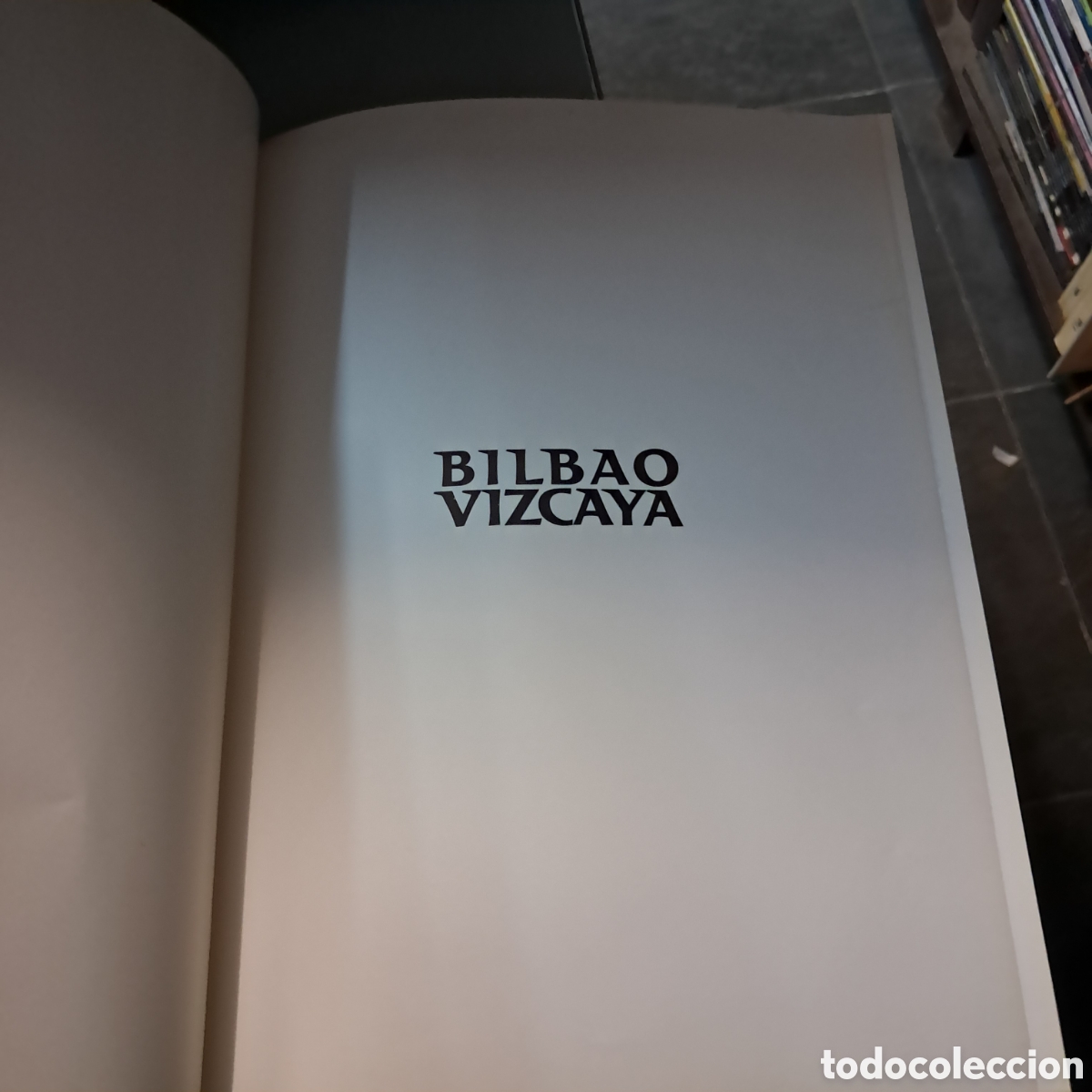 Libros: Bilbao Vizcaya, Ayuntamiento de Bilbao - Foto 2