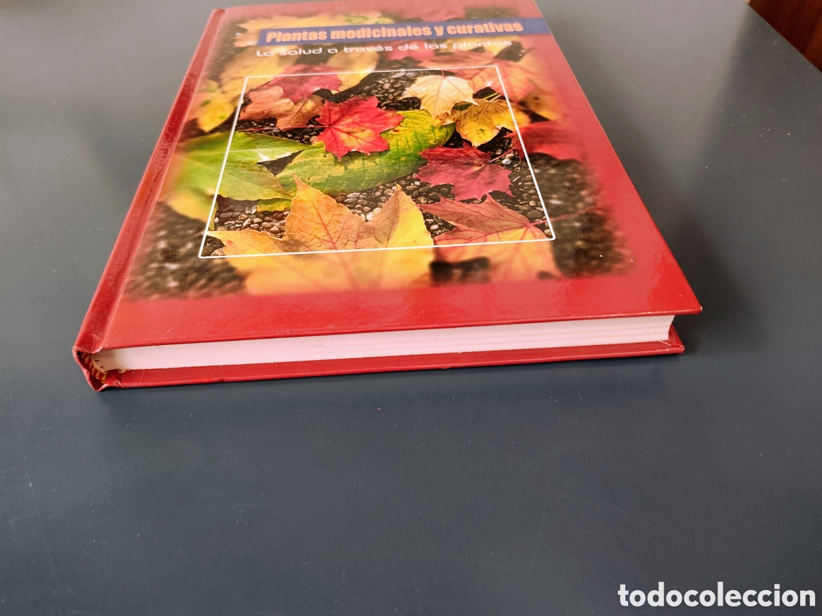 Libros: Libro Plantas medicinales y curativas - Foto 4