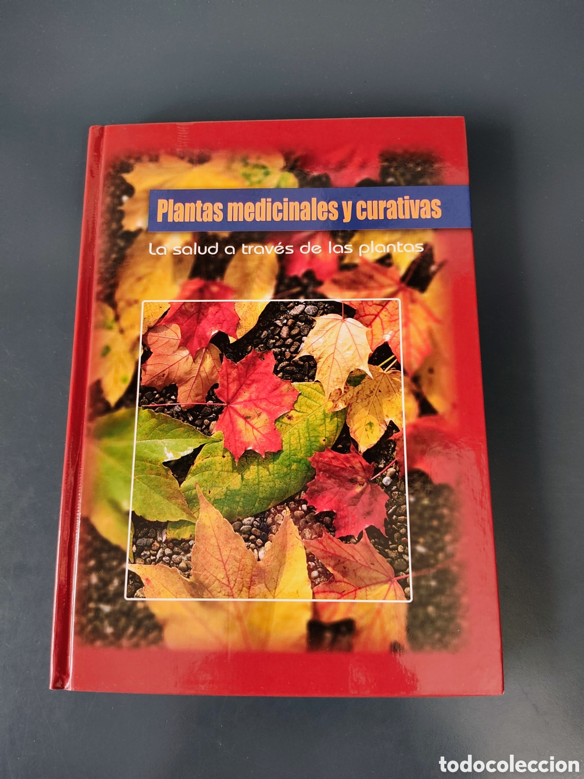 Libros: Libro Plantas medicinales y curativas - Foto 1