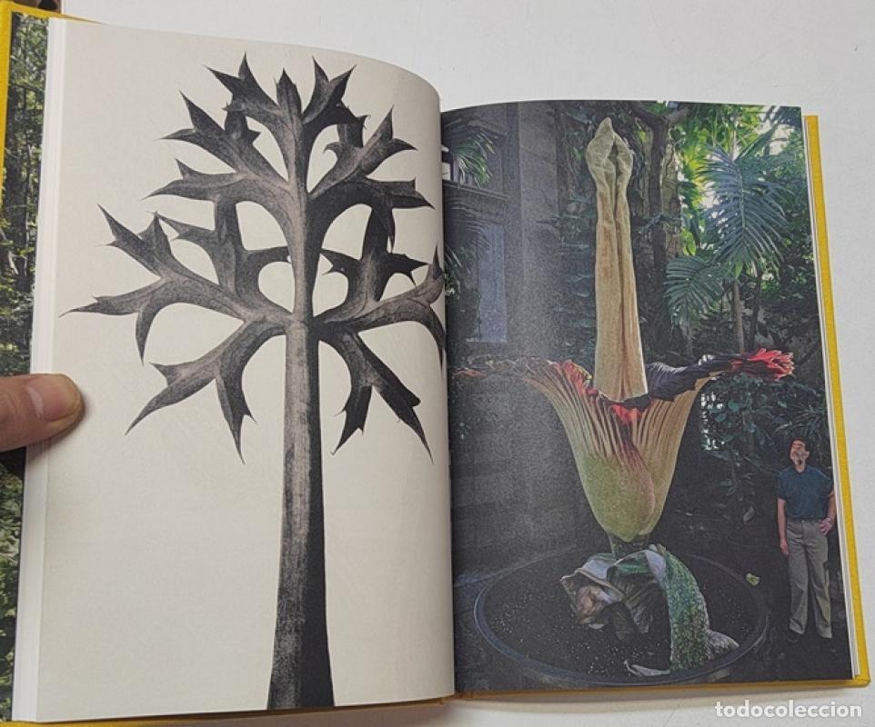 Libros: Camouflages - Joan Fontcuberta - Foto 2