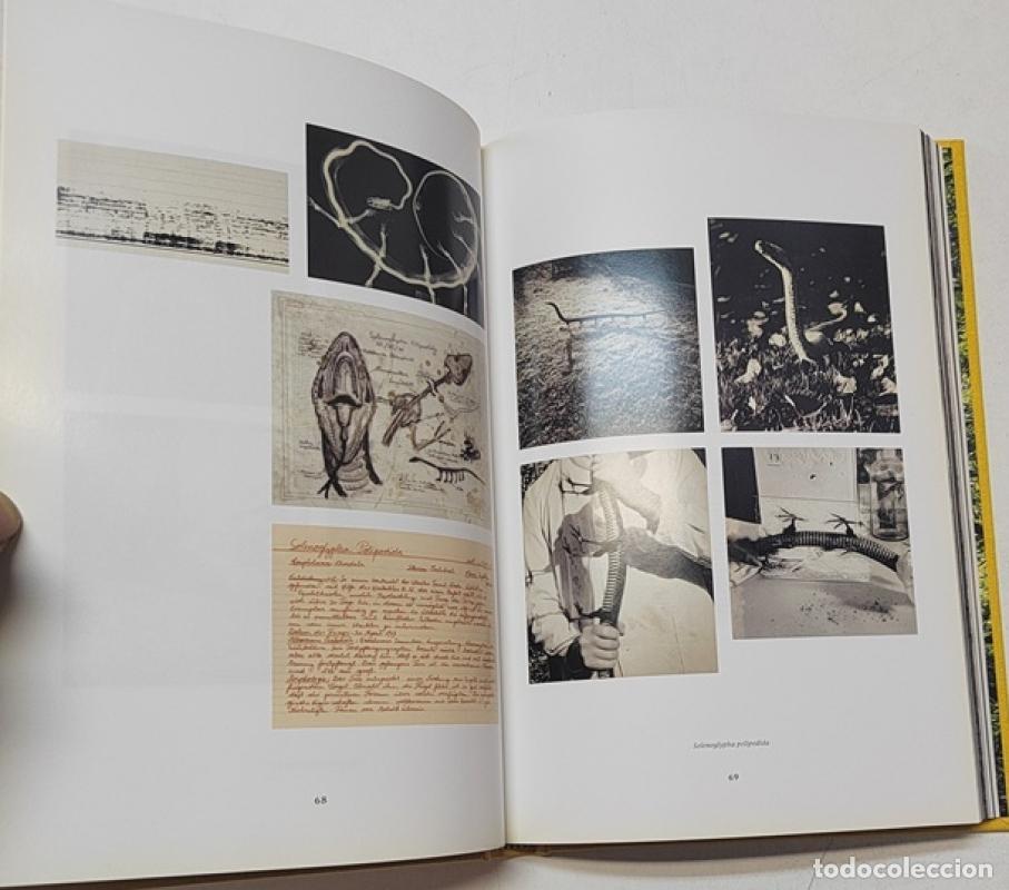 Libros: Camouflages - Joan Fontcuberta - Foto 3