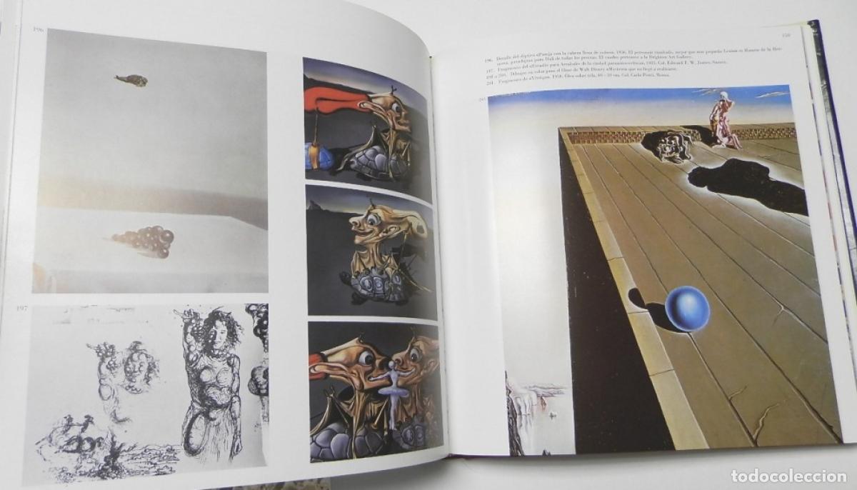 Libros: Todo Dal&iacute; en un rostro - Romero, Luis - Foto 2