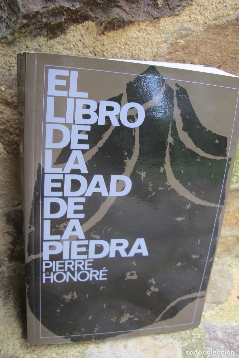 Libros: EL LIBRO DE LA EDAD DE LA PIEDRA. PIERRE HONORE - Foto 1