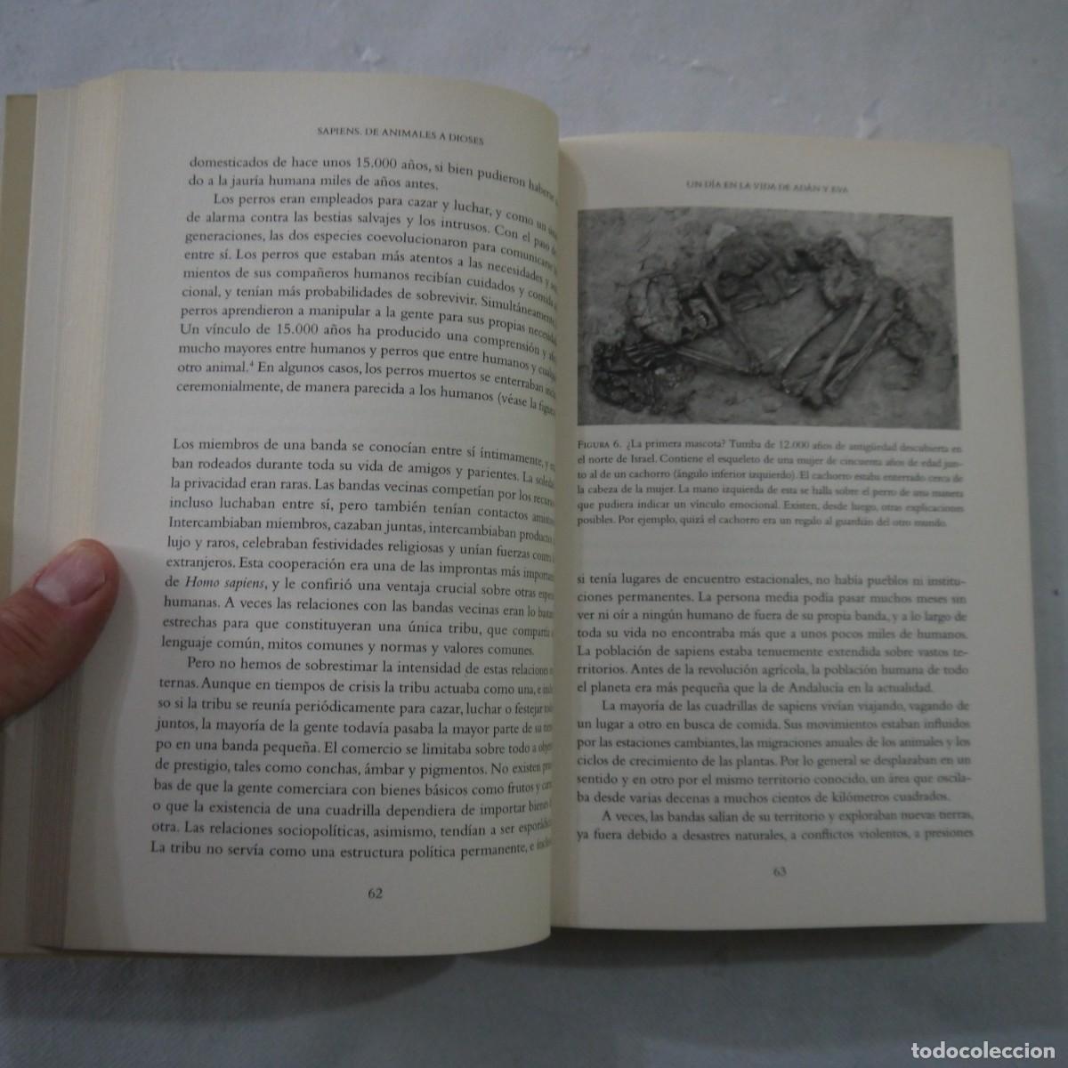 Libros: SAPIENS. DE ANIMALES A DIOSES - YUVAL NOAH HARARI - DEBATE - 2019 - Foto 11