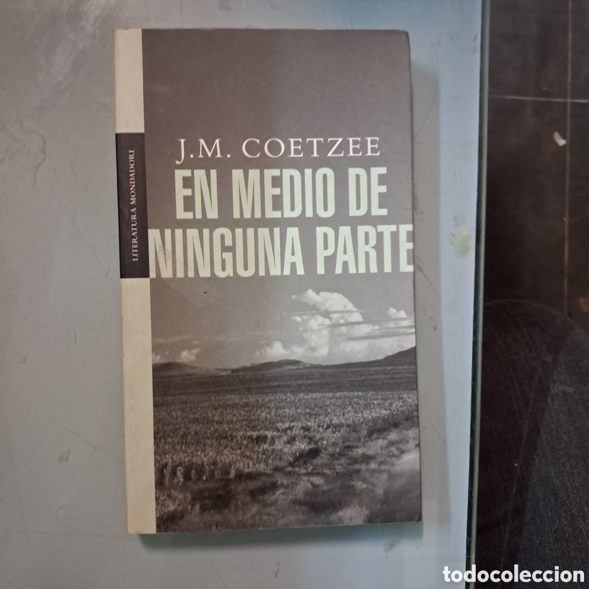 Libros: Coetzee, En medio de ninguna parte,Mondadori - Foto 1