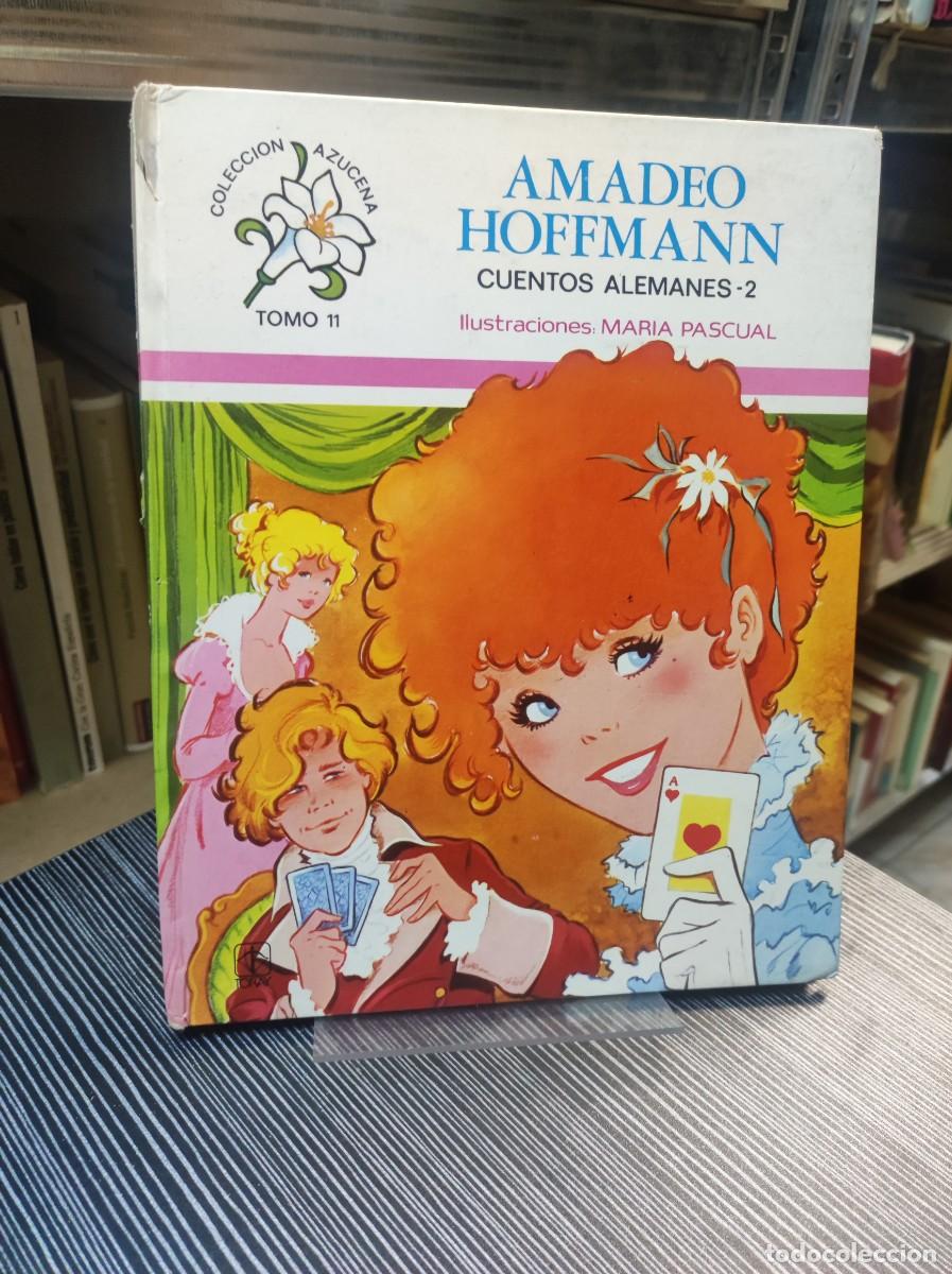 Libros: AMADEO HOFFMAN CUENTOS ALEMANES 2 - Foto 1