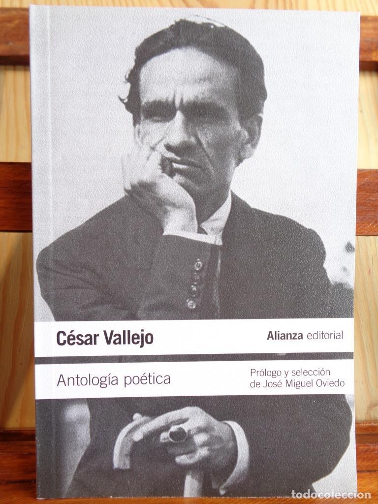 Libros: ANTOLOG&Iacute;A PO&Eacute;TICA - C&Eacute;SAR VALLEJO - Foto 1