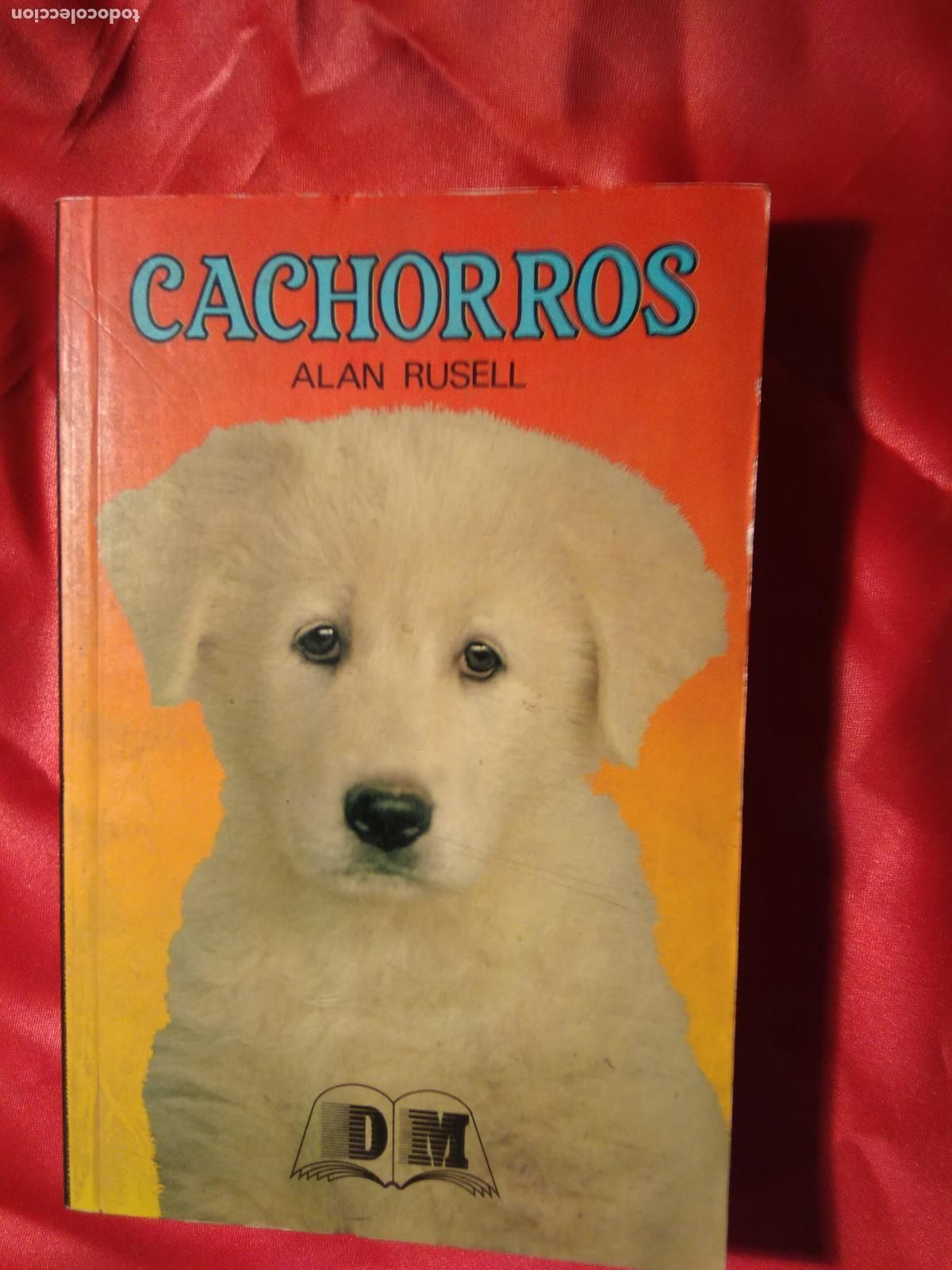Libros: Cachorros Alan Rusell L.17332-869 - Foto 1