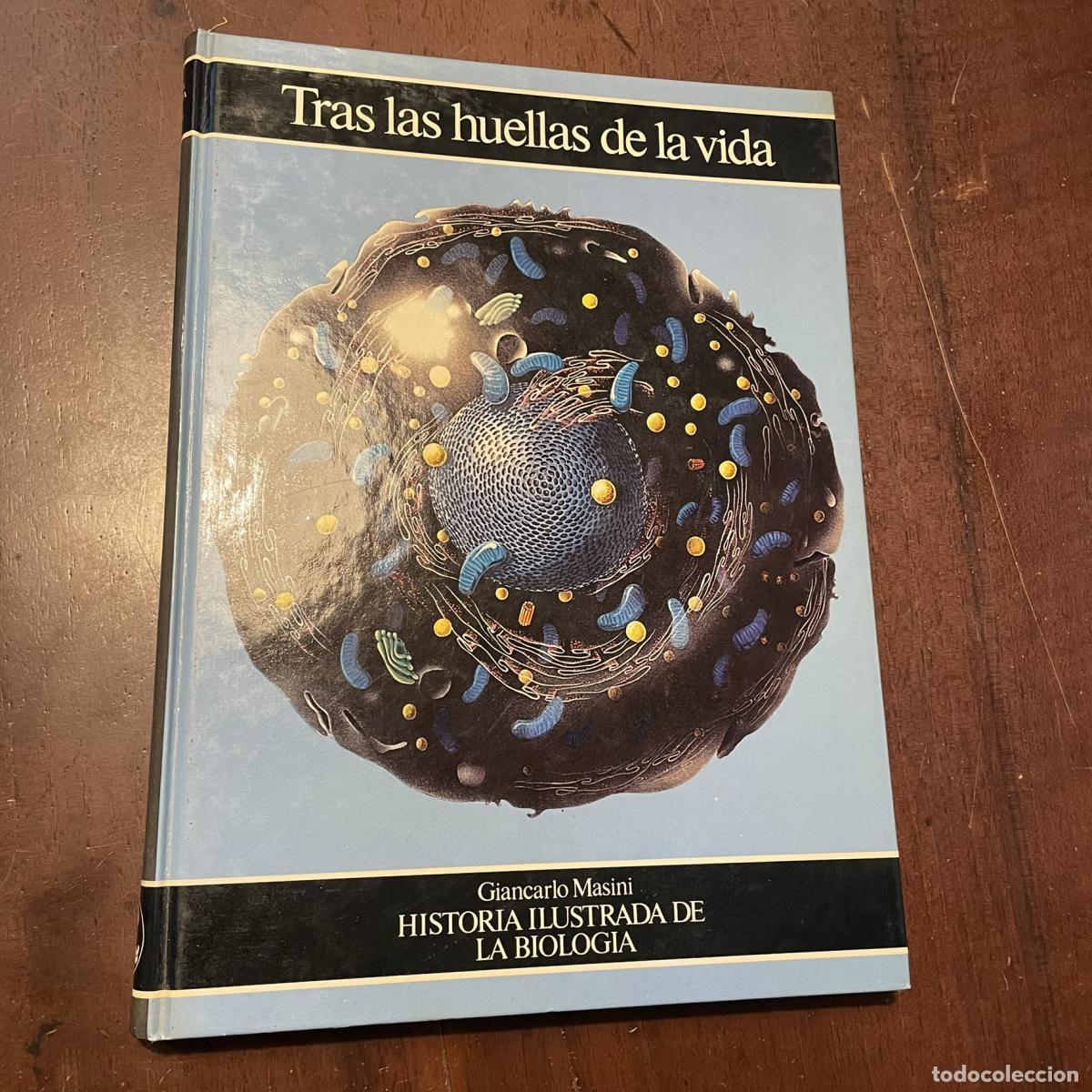 Libros: Tras las huellas de la vida - Giancarlo Masini - Foto 1