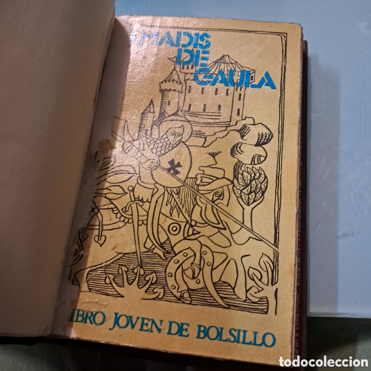Libros: Amadis de Gaula,Doncel - Foto 2