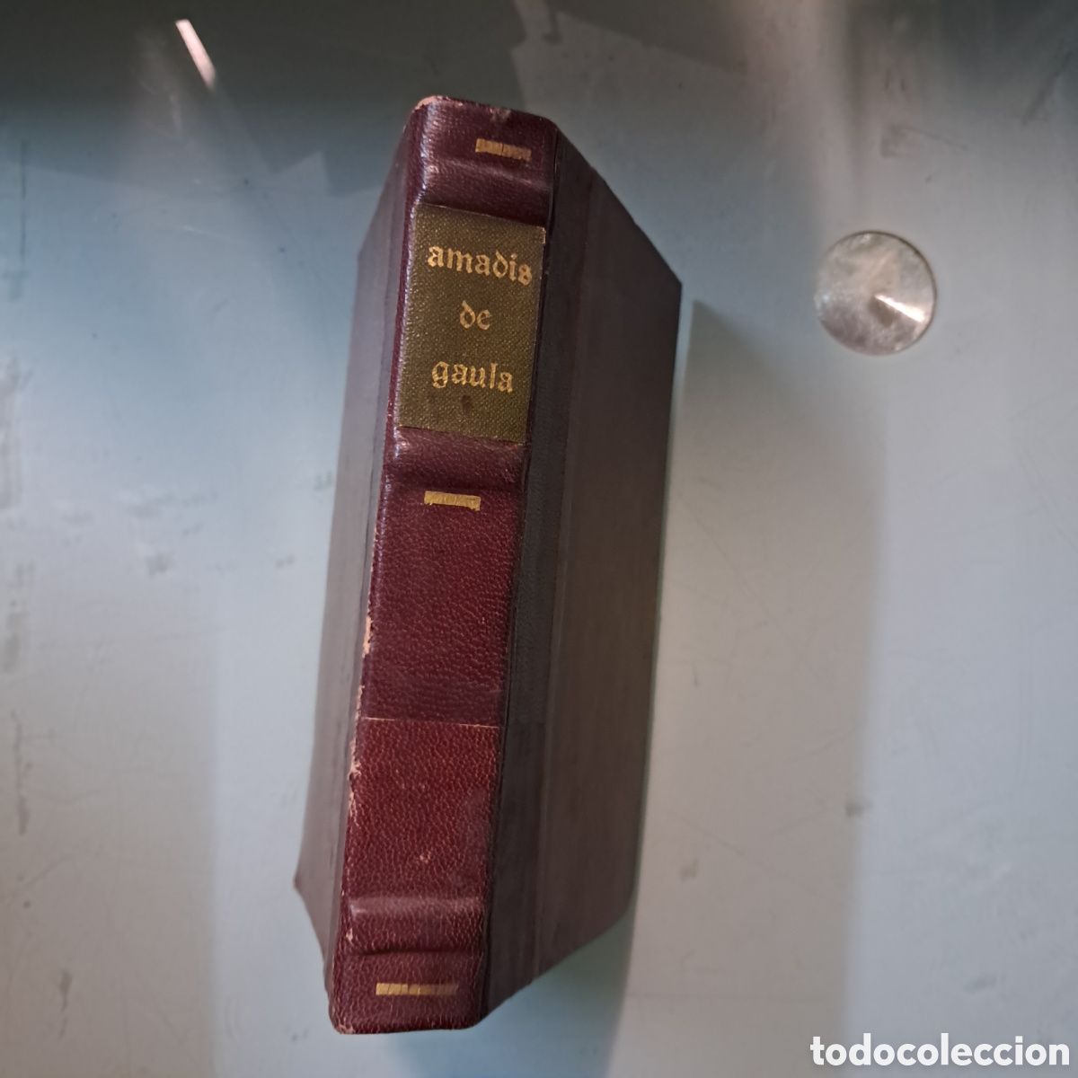 Libros: Amadis de Gaula,Doncel - Foto 1