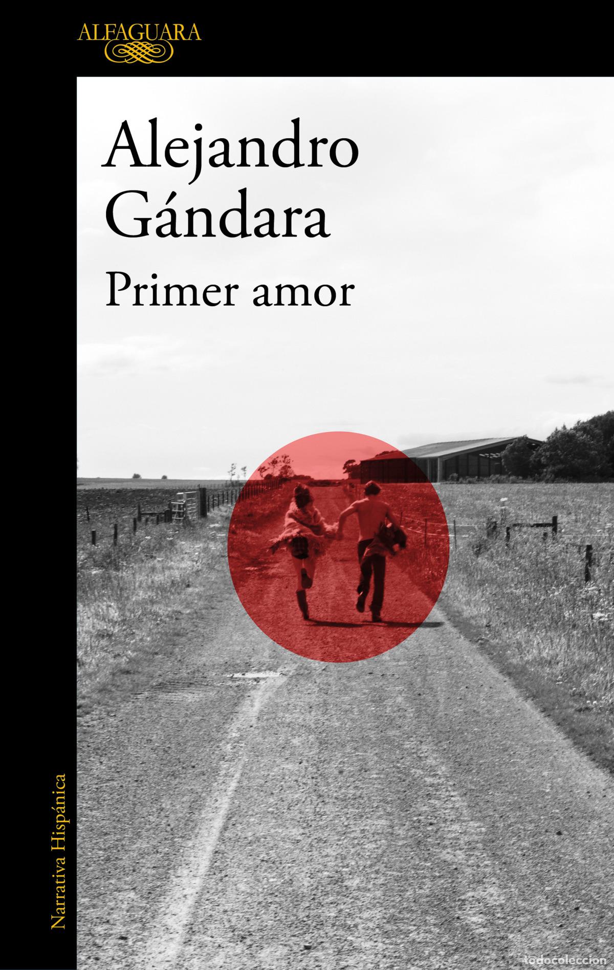 Libros: PRIMER AMOR - G&Aacute;NDARA, ALEJANDRO - Foto 1