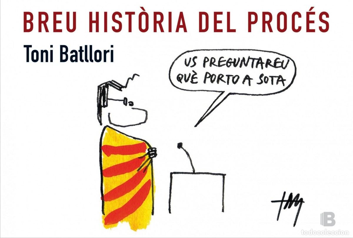Libros: BREU HISTORIA DEL PROCES - BATLLORI OBIOLS, ANTONI - Foto 1