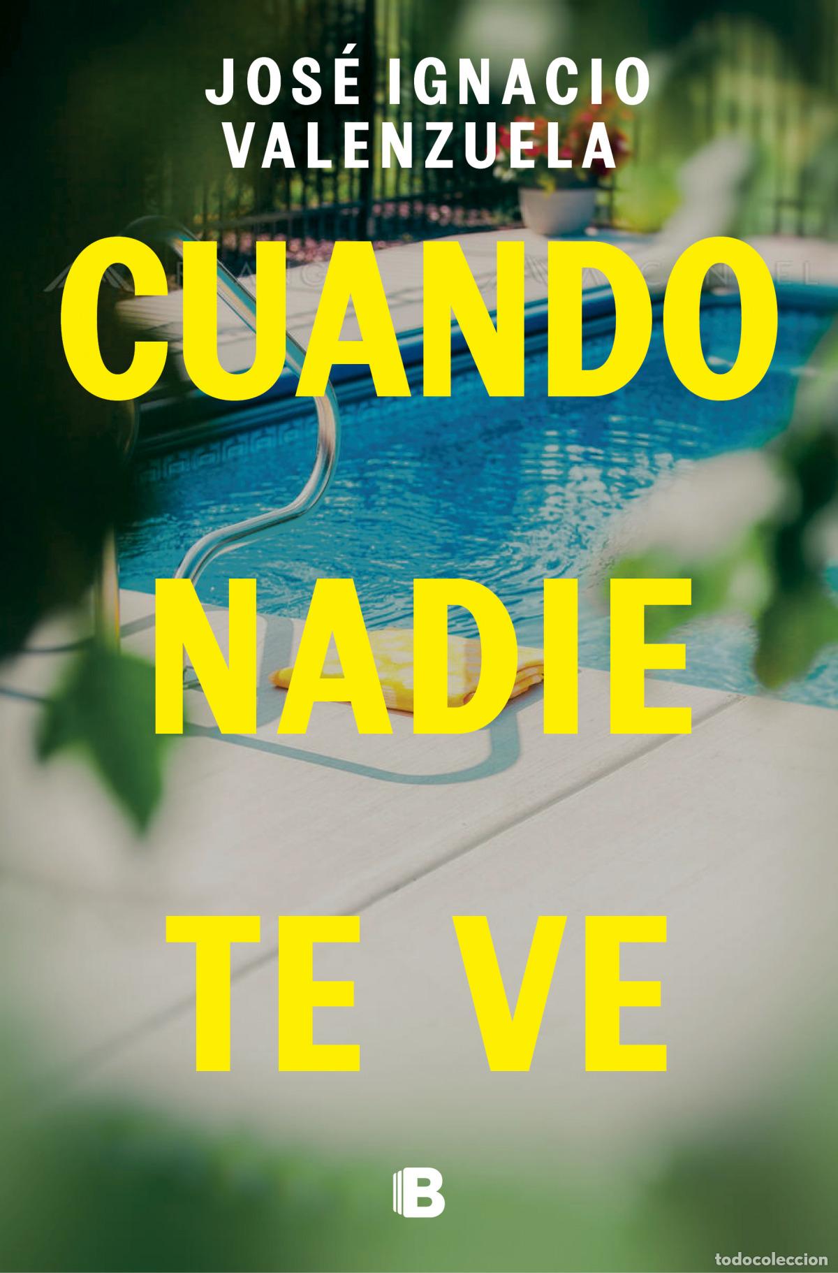 Libros: CUANDO NADIE TE VE - VALENZUELA, JOSE IGNACIO - Foto 1