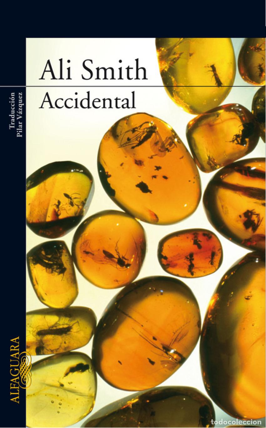 Libros: ACCIDENTAL - SMITH, ALI - Foto 1