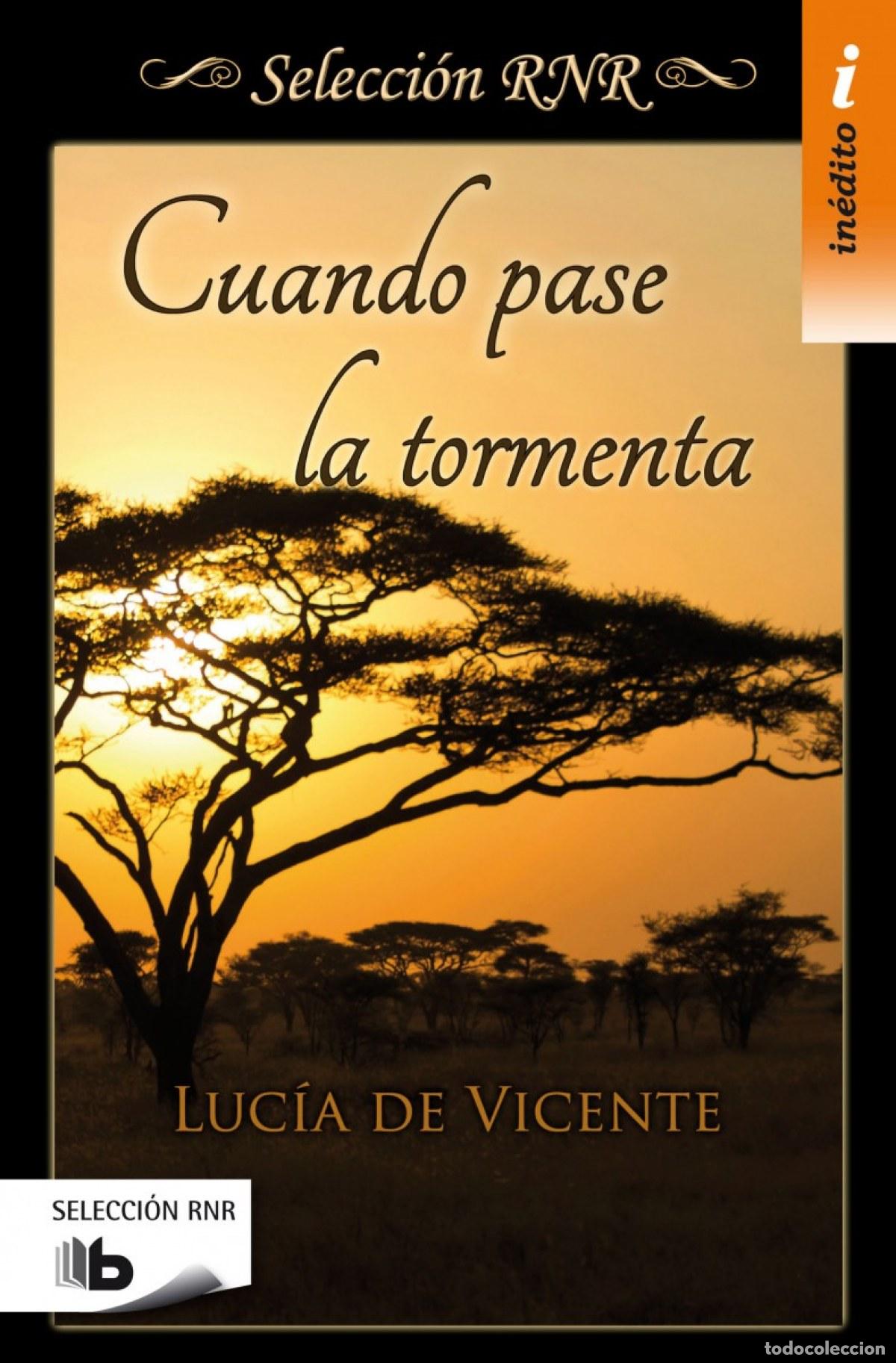Libros: CUANDO PASE LA TORMENTA - DE VICENTE, LUC&Iacute;A - Foto 1