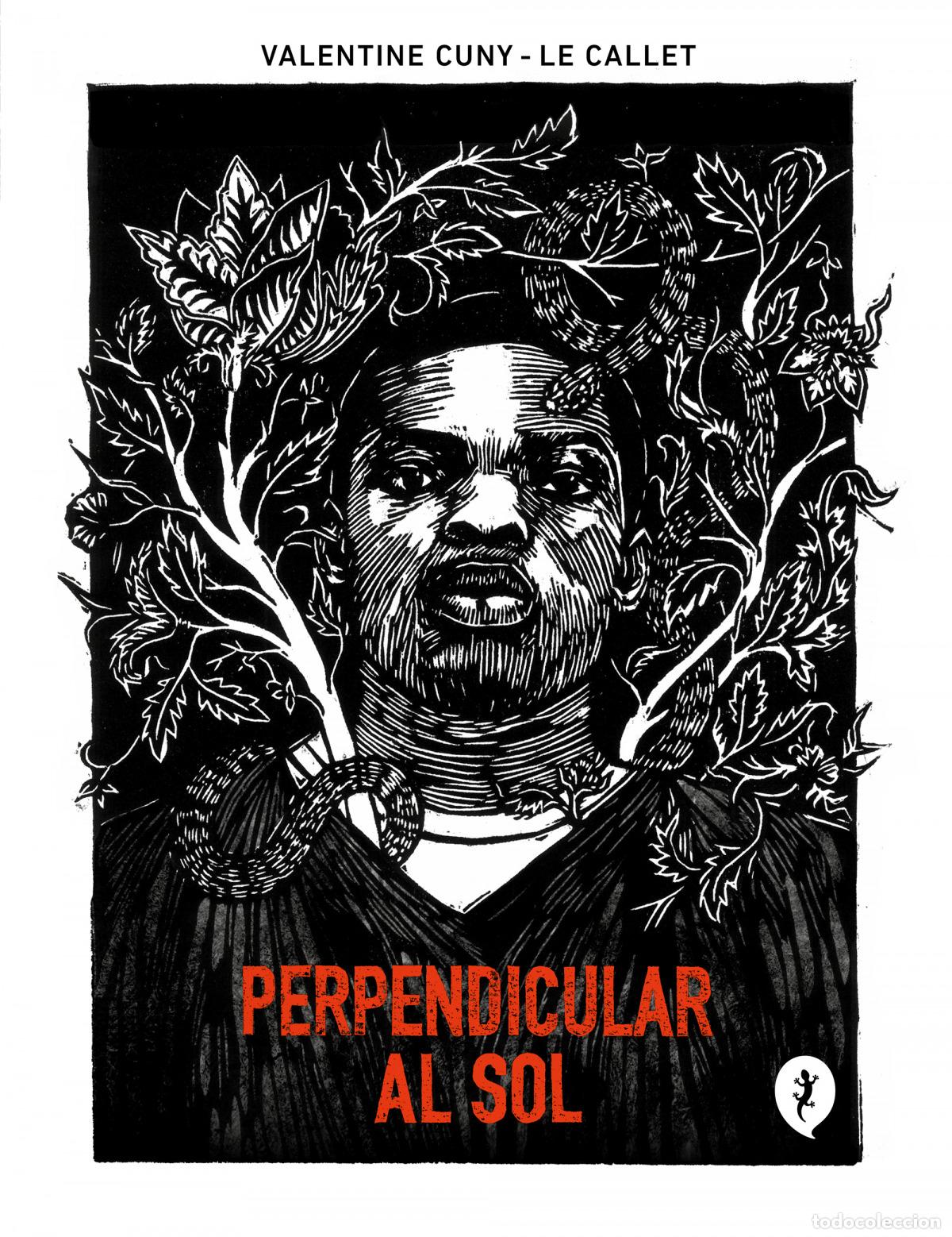 Libros: PERPENDICULAR AL SOL - CUNY-LE CALLET, VALENTINE - Foto 1
