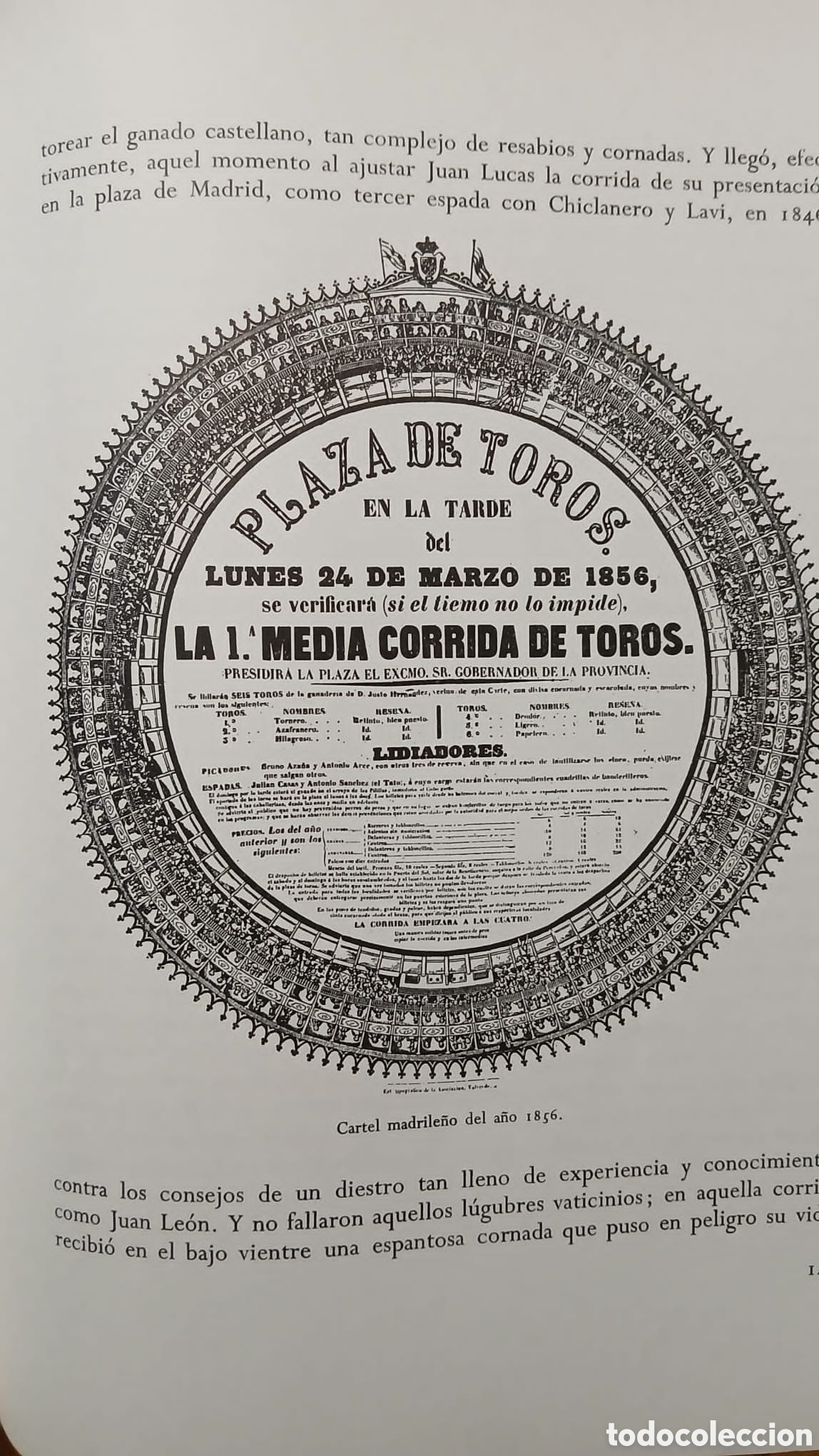 Libros: Historia del toreo, Nestor Luj&aacute;n - Foto 10