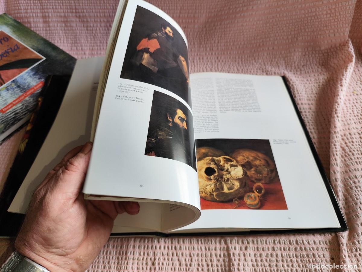 Libros: MUSEO DE ZARAGOZA / VVAA / EVA 248 / / - Foto 11