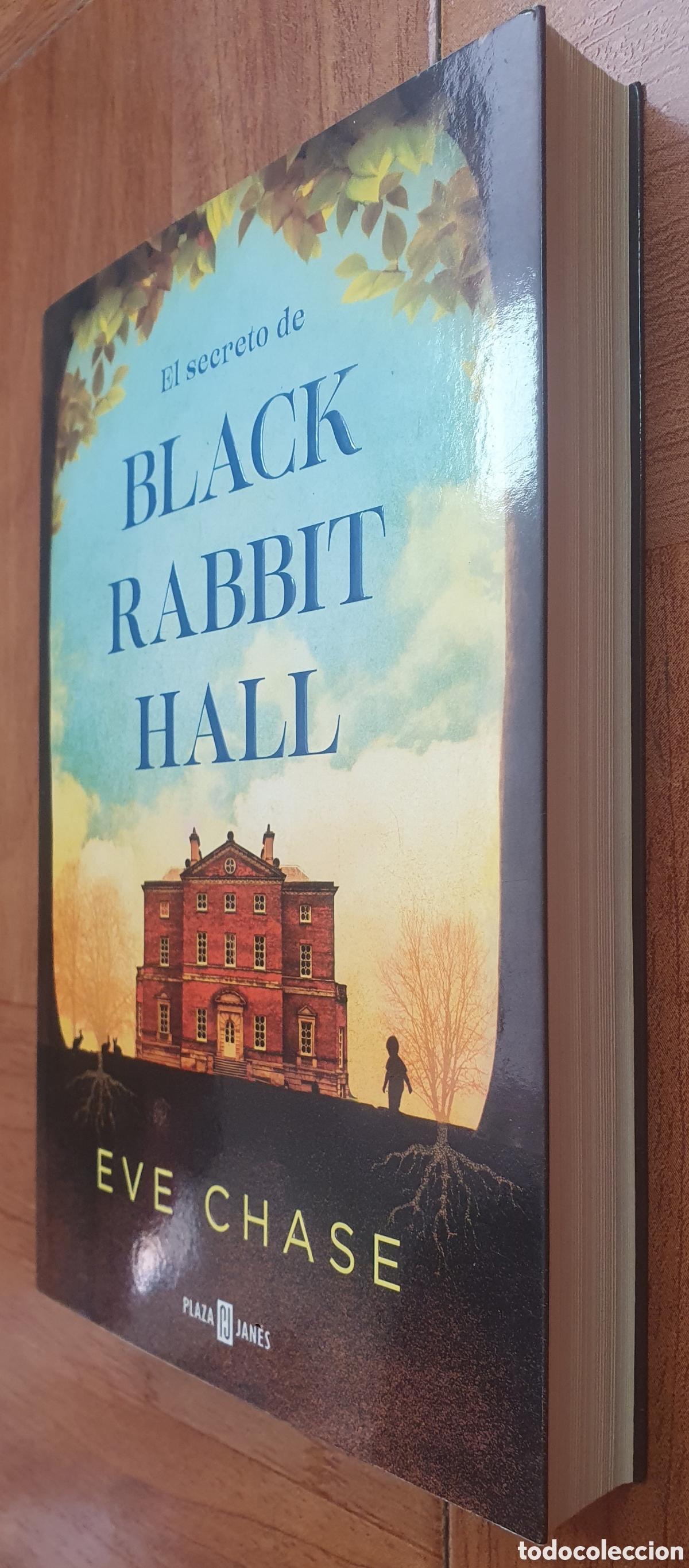 Libros: El Secreto de Black Rabbit Hall - Eve Chase - Foto 2