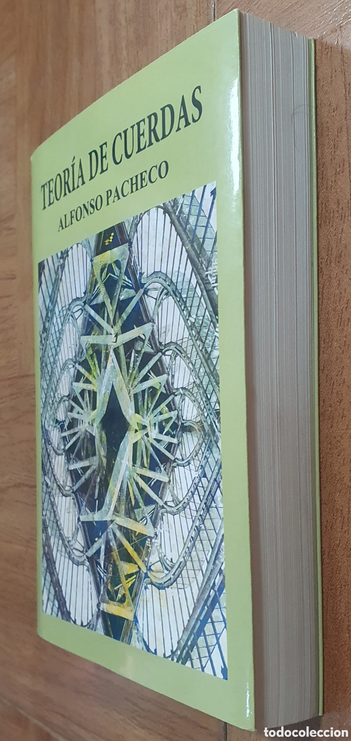 Libros: Teor&iacute;a de Cuerdas - Alfonso Pacheco - Foto 2