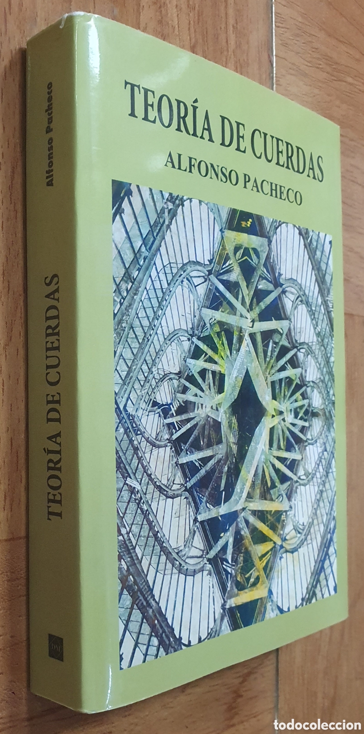 Libros: Teor&iacute;a de Cuerdas - Alfonso Pacheco - Foto 1