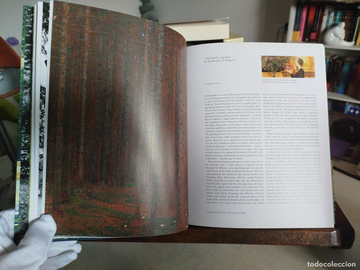 Libros: KLIMT: GUSTAV KLIMT LANDSCAPES - VV. AA - Foto 6