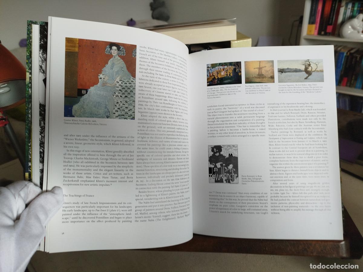 Libros: KLIMT: GUSTAV KLIMT LANDSCAPES - VV. AA - Foto 7