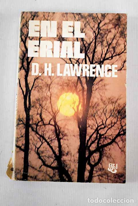 Libros: En el erial: Lawrence, D. H..- Lawrence, D. H. - Foto 1