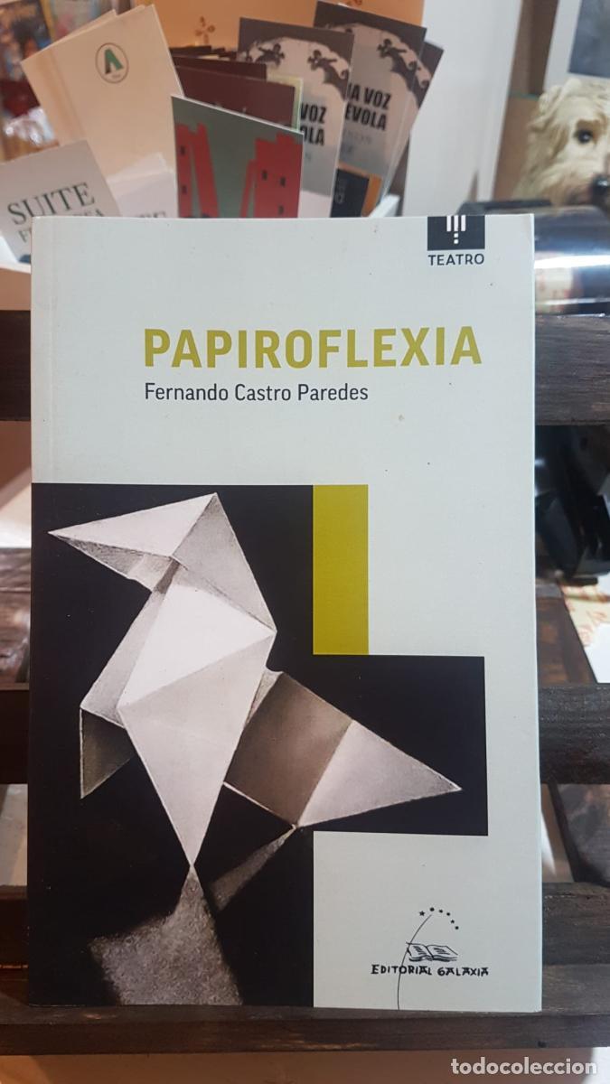 Libros: Papiroflexia - Castro Paredes, Fernando - Foto 1