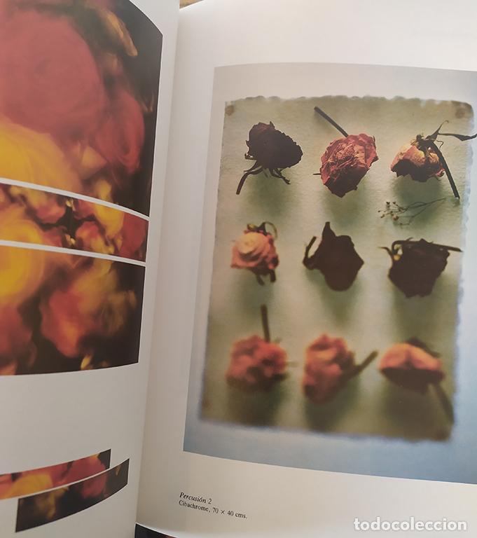Libros: CIRCUITOS 1991, cat&aacute;logo de Arte. - Foto 5