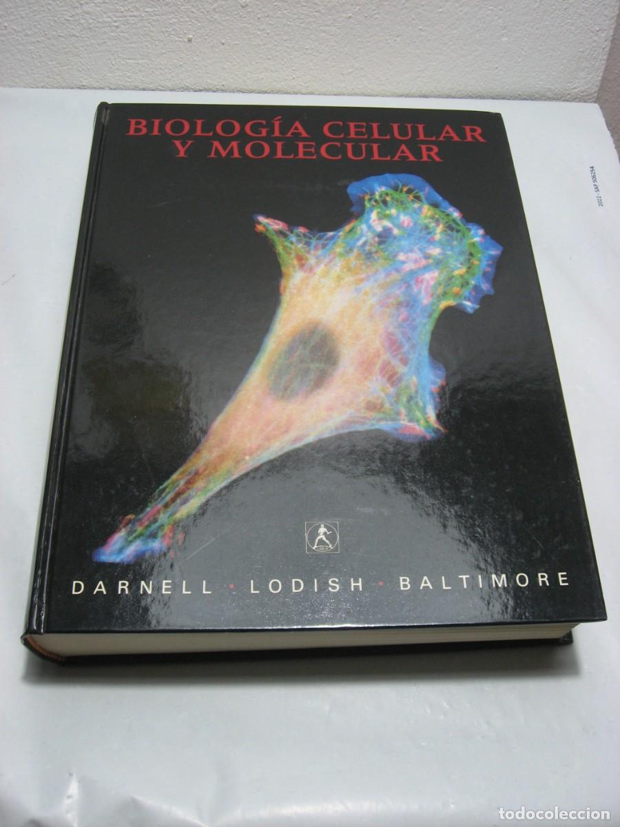 Libros: BIOLOG&Iacute;A CELULAR Y MOLECULAR - J. Darnell, H. Lodish, D. Baltimore - Foto 1