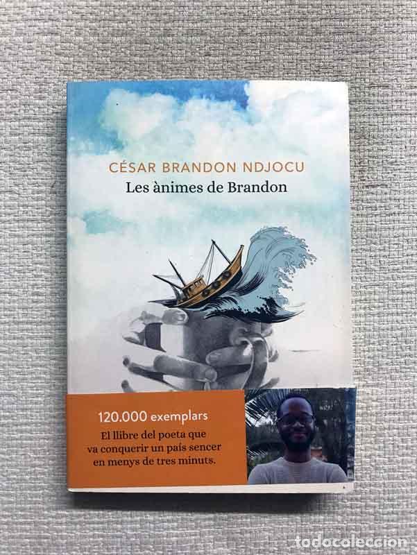 Libros: Les &agrave;nimes de Brandon - C&eacute;sar Brandon Ndjocu - Foto 1