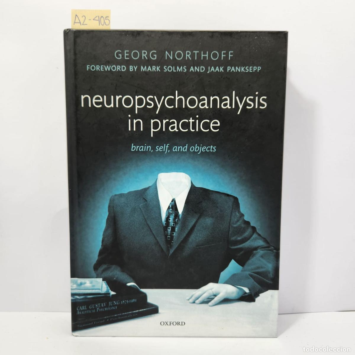 Libros: NORTHOFF, Georg: - Neuropsychoanalysis in practice. - Foto 1