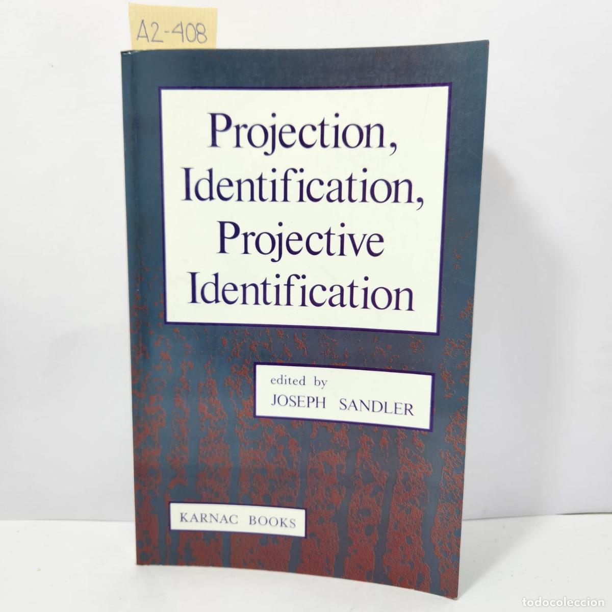 Libros: V.V. A.A.: - Projection, Identification, Projective Identification. - Foto 1