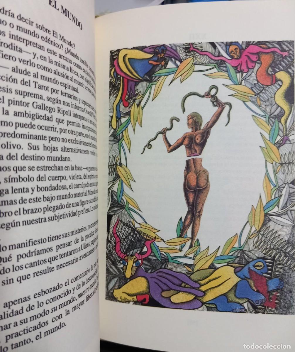 Libros: Tarot para meditar. - ACEVES, Octavio - Foto 3