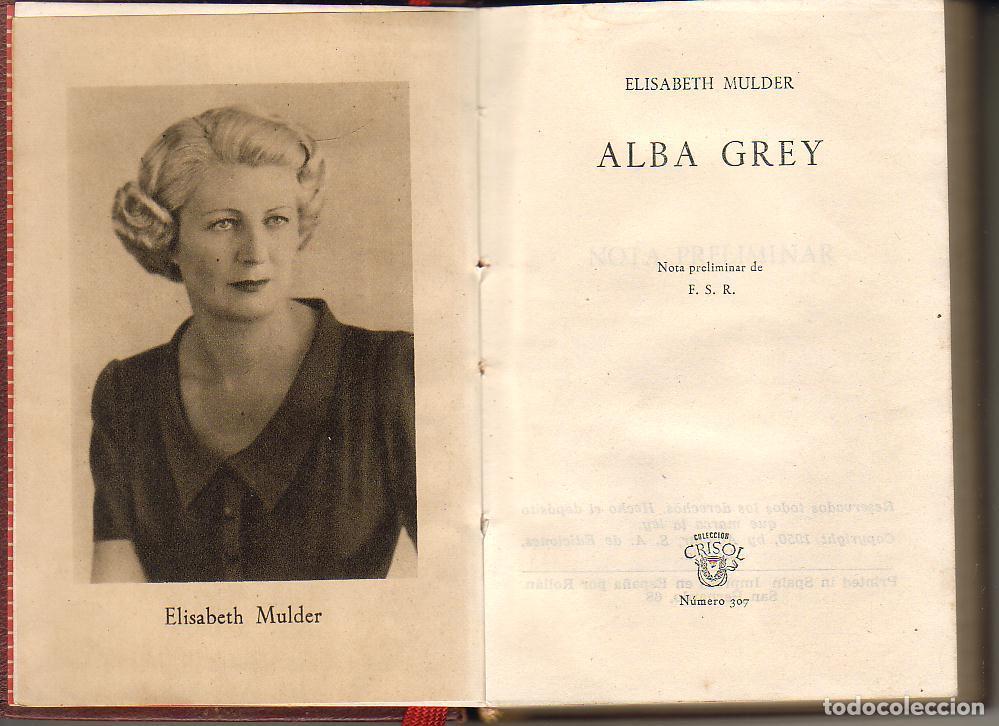Libros: MULDER, Elisabeth.- - Alba Grey. Novela. - Foto 1