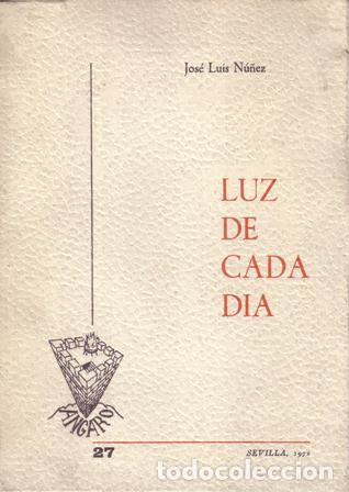 Libros: N&Uacute;&Ntilde;EZ, Jos&eacute; Luis.- - Luz de cada d&iacute;a. - Foto 1