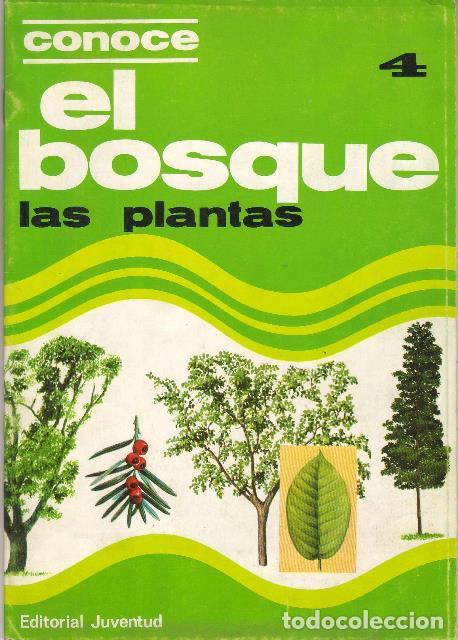 Libros: CONOCE EL BOSQUE.- Las plantas. - Foto 1