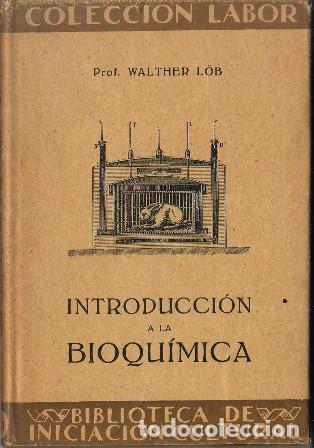 Libros: LOB, Walther.- - Introducci&oacute;n a la bioqu&iacute;mica. - Foto 1