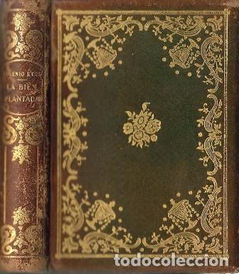 Libros: ORS, Eugenio D.- - La bien plantada. - Foto 1