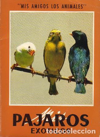 Libros: PAUL, Andre.- - P&aacute;jaros ex&oacute;ticos. - Foto 1