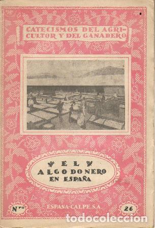Libros: SALDA&Ntilde;A Y SOLANAS, Domingo.- - El algodonero en Espa&ntilde;a. - Foto 1