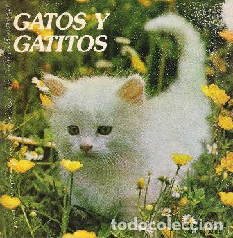 Libros: SERRANO, Mar&iacute;a Laura.- - Gatos y gatitos. - Foto 1