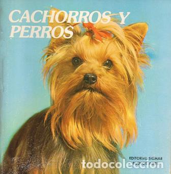Libros: TAYLOR, Anne.- - Cachorros y perros. - Foto 1
