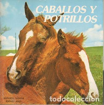 Libros: TAYLOR, Anne.- - Caballos y potrillos. - Foto 1