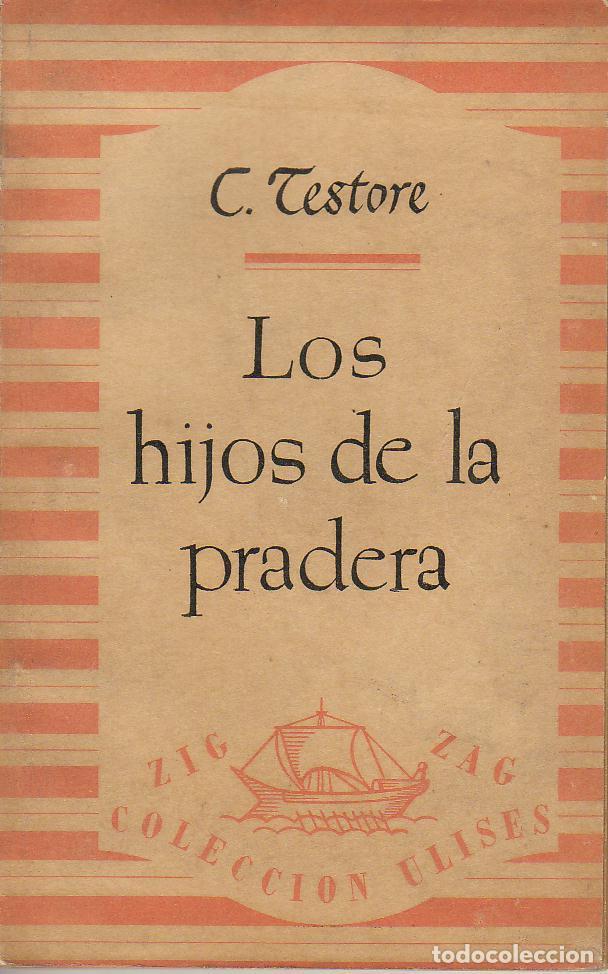 Libros: TESTORE, C.- - Los hijos de la pradera. Novela. Ilustr. de Core. - Foto 1