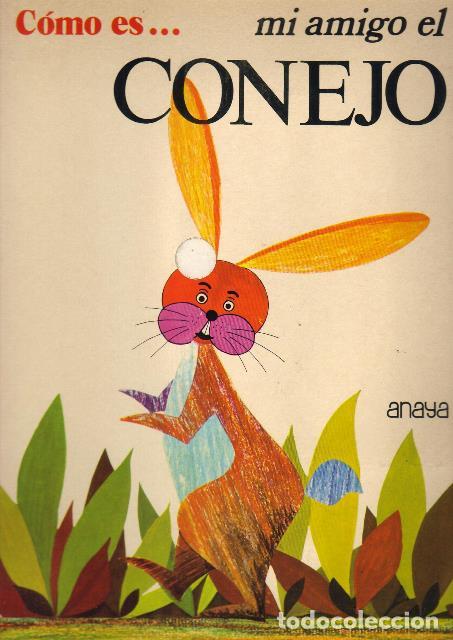 Libros: MI AMIGO EL CONEJO.- Cuento. - Foto 1